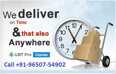 On-Time International Courier Delivery